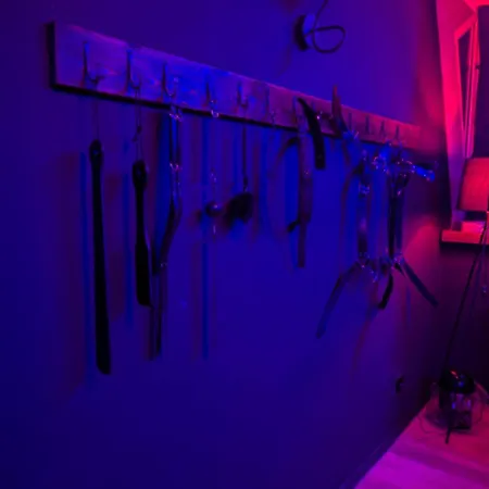 Bdsm ! Love hotel *